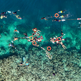 Guardians of the Sea