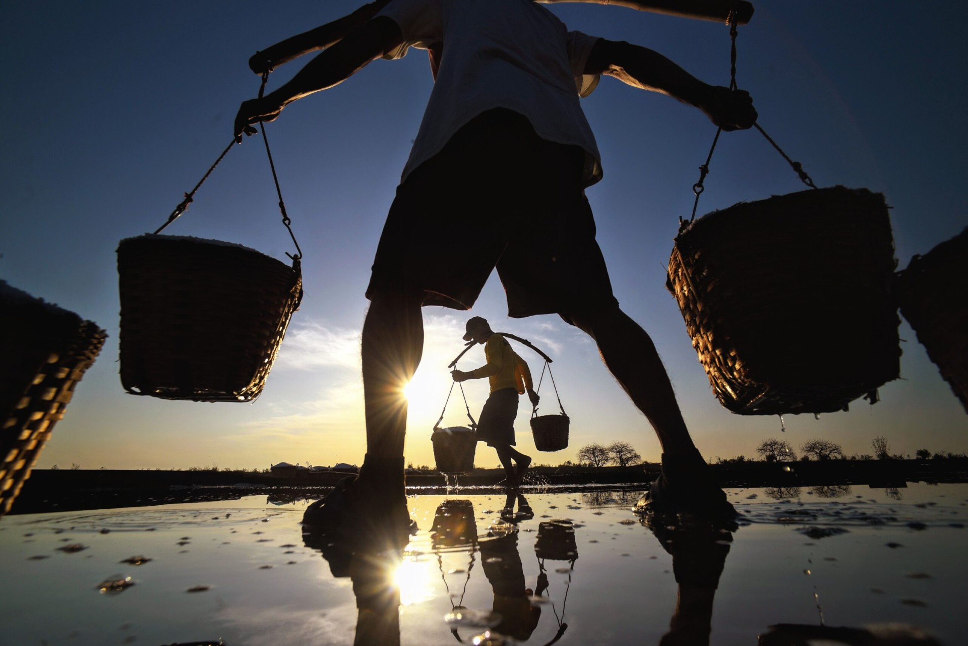 Carrying the Island's Harvest