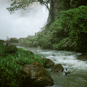 Where others see only scenery, she sees sustenance.