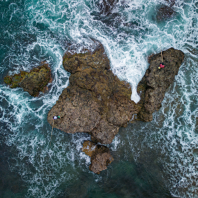 Where Life and Tide Collide