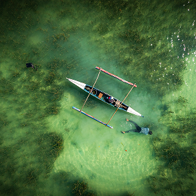 Shine in Living Clean