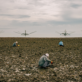 The Way of the Tides