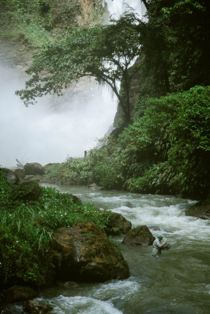 Where others see only scenery, she sees sustenance.