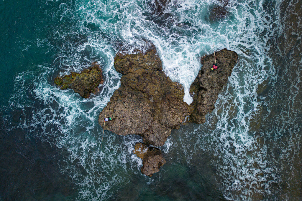 Where Life and Tide Collide