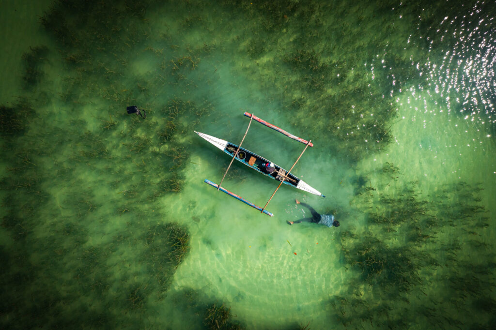 Shine in Living Clean