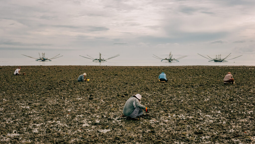 The Way of the Tides